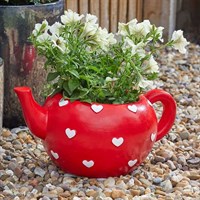 Smart Garden Teapot Heart Planter (5071018)