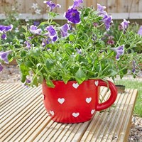 Smart Garden Teacup Heart Planter (5071019)