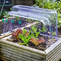 Smart Garden Clear Cloche Ends (6513004)