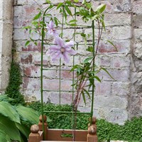 Smart Garden 75cm Garden Planter Trellis (4013032)