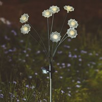 Smart Garden 8-Stem FloraLights Warm White Solar Stake Light (1012076)