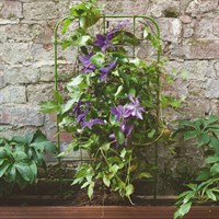Smart Garden 90cm Garden Planter Trellis (4013033)