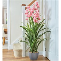 Smart Garden Artificial Potted Orchid 140cm (5607020)