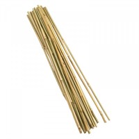 Smart Garden Bamboo Canes 120 cm Bundle of 20 (4025042)