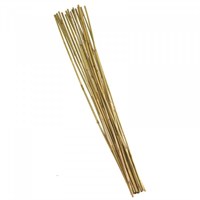 Smart Garden Bamboo Canes - Extra Thick 150 cm Bundle of 20 (4025043)