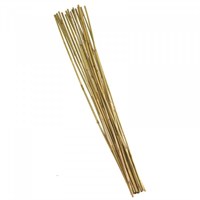 Smart Garden Bamboo Canes - Extra Thick 180 cm Bundle of 10 (4025044)