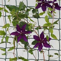 Smart Garden Climbing Plant & Fencing Mesh - Brown 50mm Mesh 1 x 5m (7030013)