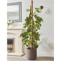 Smart Garden CocoMoss Pole Houseplant Support 150cm (4070093)
