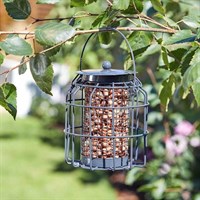 Smart Garden Compact Squirrel Proof Peanut Wild Bird Feeder Black (7512009)