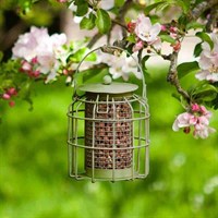 Smart Garden Compact Squirrel Proof Peanut Wild Bird Feeder Green (7512009)