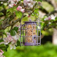 Smart Garden Compact Squirrel Proof Seed Wild Bird Feeder Purple (7512011)