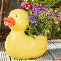 Smart Garden Duck Garden Planter (5071054)