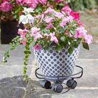 Smart Garden Elegance Pot Caddy 25 cm (6070003)