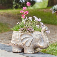 Smart Garden Elephant Garden Planter (5071052)