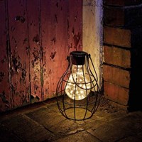 Smart Garden Eureka! Firefly Lantern - Large (1080964)