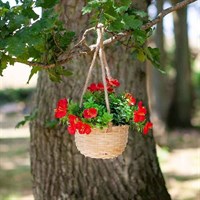Smart Garden Faux Flower Blossom Basket Bouquet - Red (5040061)