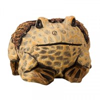 Smart Garden Frog Planter (5071006)