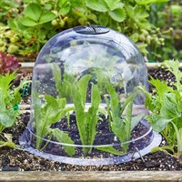 Smart Garden Garden Bell Cloche 3-PK (6513009)