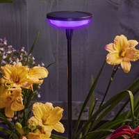Smart Garden Hygge Colour Changing Solar Stake Light (1012078)