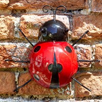 Smart Garden Ladybird Garden Wall Ornament (5032002)