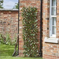 Smart Garden Maple Leaf Willow Artificial Trellis Screening 180 x 60 cm (5045081)