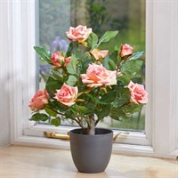 Smart Garden Perfect Pink 40cm Artificial Potted Rose (5607503)