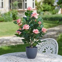 Smart Garden Perfect Pink 60cm Artificial Potted Rose (5607533)