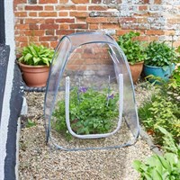 Smart Garden Pop-Up GroZone 60x50x50cm (6511020)