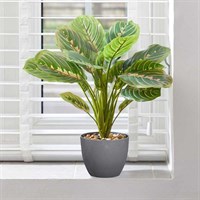 Smart Garden Prayer Plant 35cm Artificial Potted Plant (5607011)