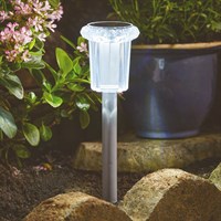 Smart Garden RayLite Solar Stake Light (1012084)