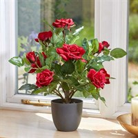 Smart Garden Ruby Red 40cm Artificial Potted Rose (5607500)