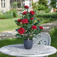 Smart Garden Ruby Red 60cm Artificial Potted Rose (5607530)
