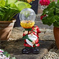 Smart Garden Solar Wonder Wizard Garden Ornament (1020908)