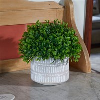 Smart Garden Verdepot Artificial Plant (5610003)