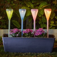 Smart Garden Viva! Colourful Solar Powered Marker Garden Path Lights (1012056)