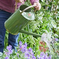 Smart Garden Watering Can - Sage 9L (6514007)