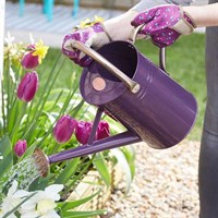 Smart Garden Watering Can Violet 4.5L (6514024)
