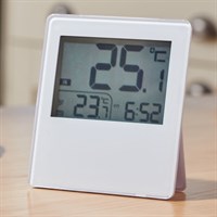 Smart Garden Wireless DualTemp Indoor & Outdoor Monitor (8860013)