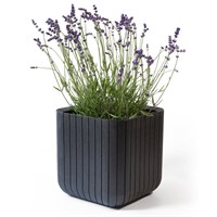 Stewart Garden 29.5cm Small Cube Planter - Anthracite (263634)