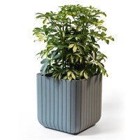Stewart Garden 29.5cm Small Cube Planter - Green (263631)