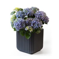 Stewart Garden 39.5cm Medium Cube Planter - Anthracite (263635)