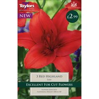 Taylors Bulbs Lily Red Highland (3 Pack) (TS548)