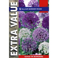 Taylors Bulbs Allium Border Mixed - Pack of 12 - Extra Value Range (EV134)