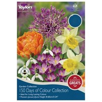 Taylors Bulbs Allium Collection - Pack of 50 (AV615)
