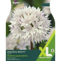 Taylors Bulbs Allium Graceful Beauty - Pack of 20 (XL0083)