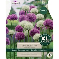 Taylors Bulbs Allium Kings & Queens - Pack of 18 (XL400)