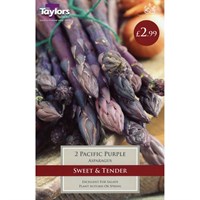 Taylors Bulbs Asparagus Pacific Purple (2 Pack) (SVEG10)