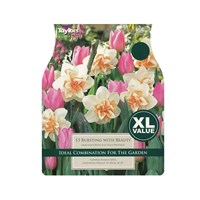 Taylors Bulbs Bursting With Beauty - Pack of 10 (XL406)