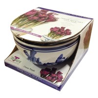 Taylors Bulbs Crocus Delft Bowl - Pack of 9 (DP13)