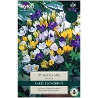 Taylors Bulbs Crocus Mixed Species - Pack of 15 (TP678)